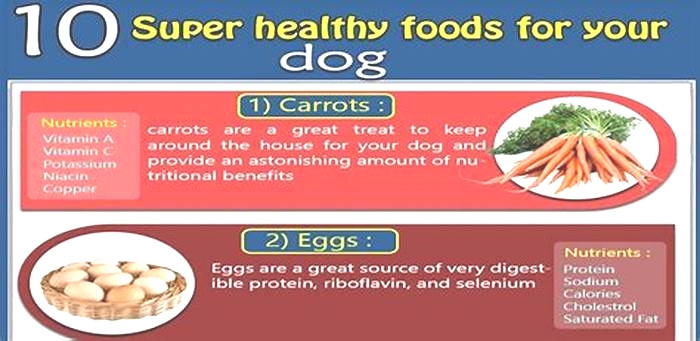 What are the three super foods for dogs?