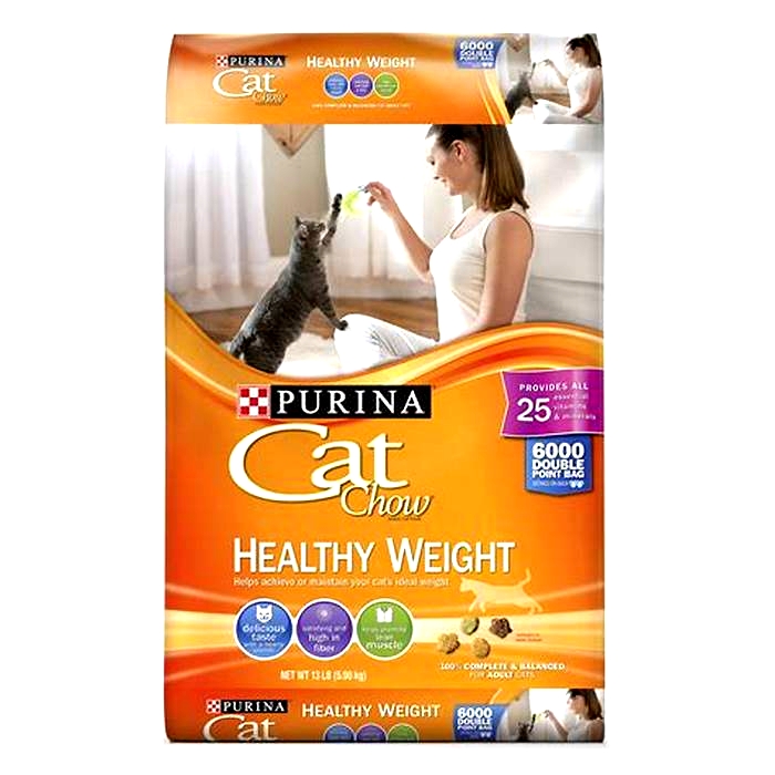 What brand of cat food is healthiest?