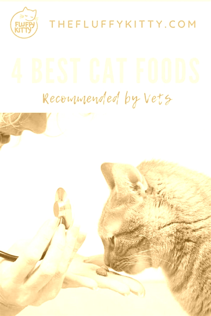 What cat food do vets recommend?