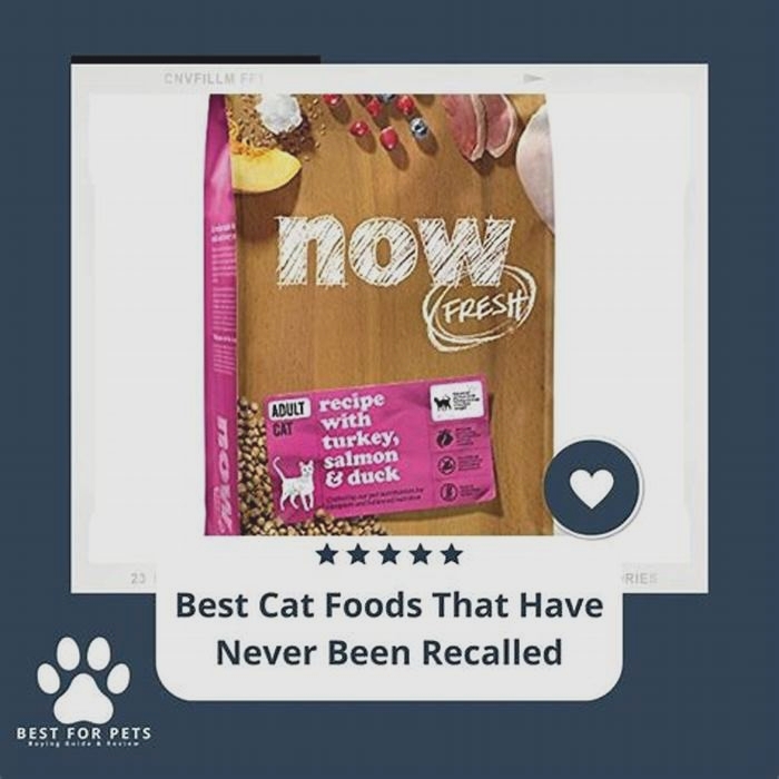 What cat food has never been recalled?