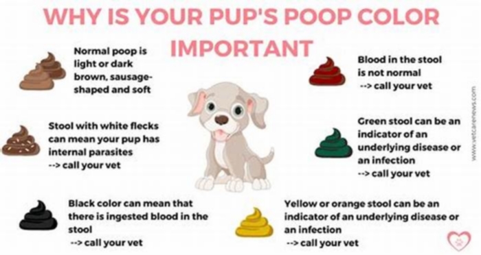 What dog breeds are prone to diarrhea?