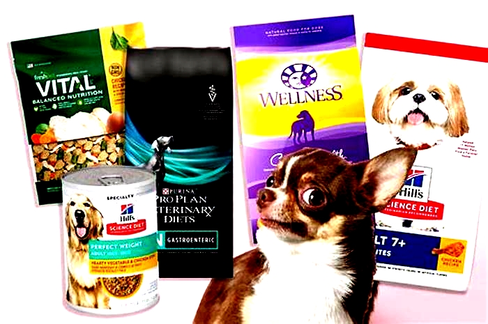 What dog food brands do vets not recommend?