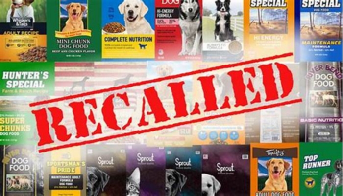 What dog food is currently recalled in 2024