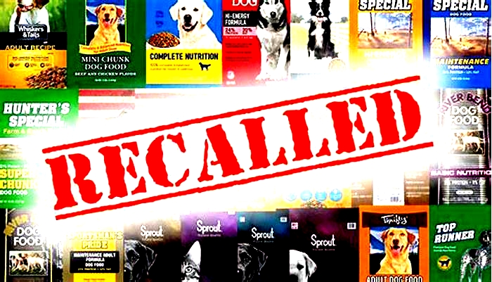 What dog food is on recall right now in 2024?