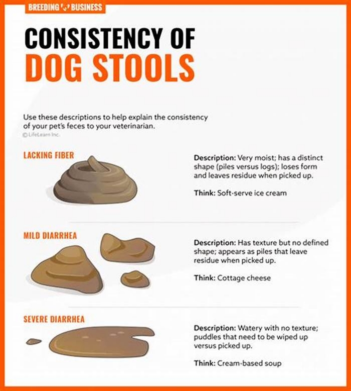 What dog treats do not cause diarrhea