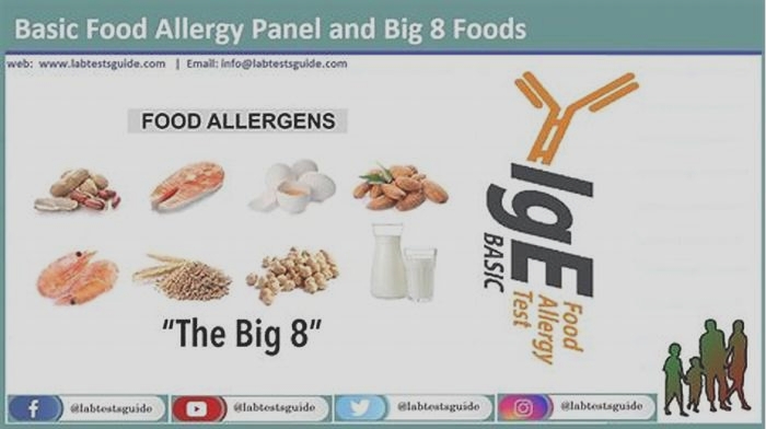 What foods are labs allergic to?