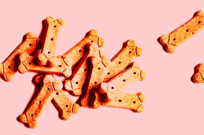 What ingredient should not be in dog treats?