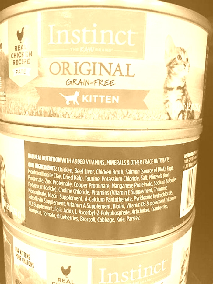 What ingredients in wet cat food are bad for cats?