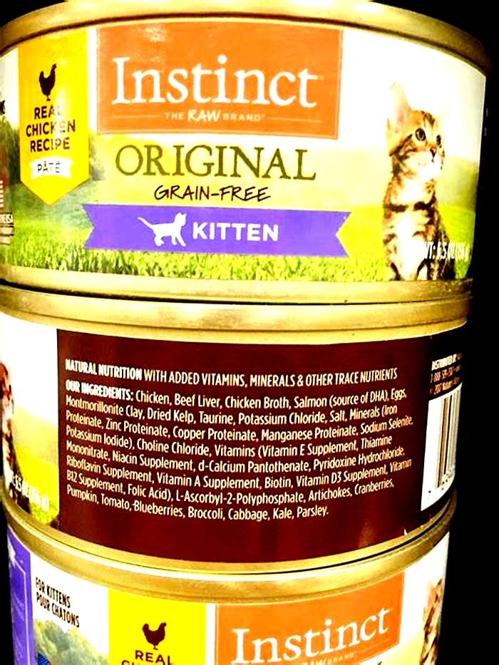 What ingredients should not be in wet cat food