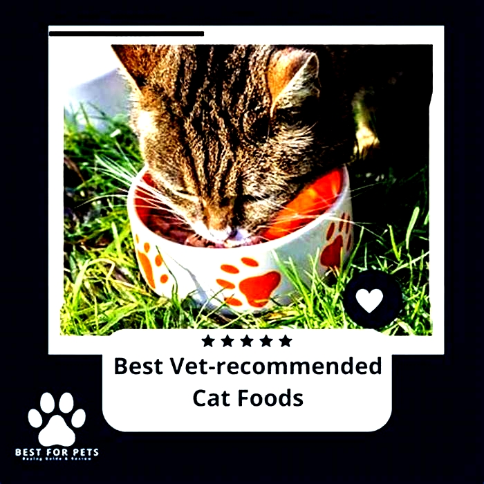 What is #1 vet recommended cat food?