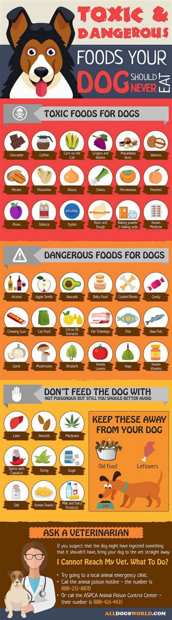 What is a high risk dog food?