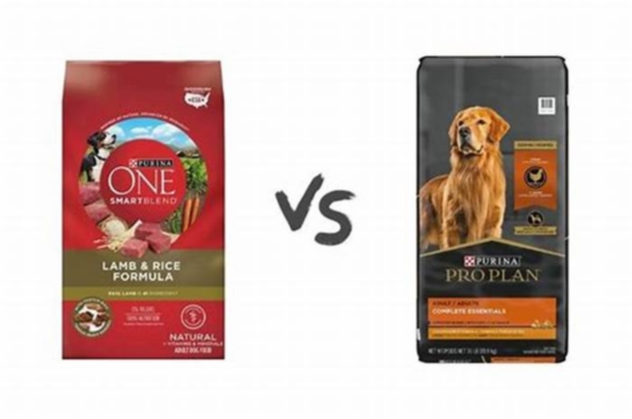 What is better than Purina Pro Plan?