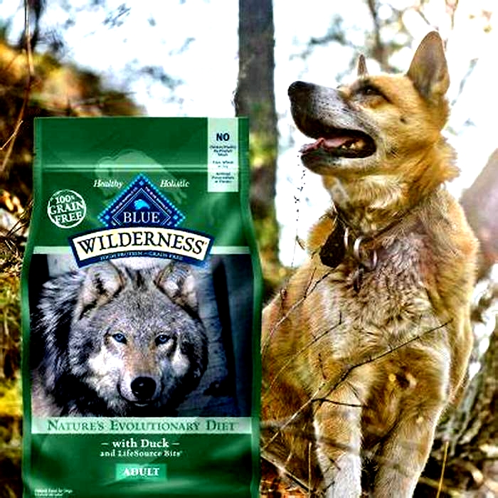 What is the BLUE Wilderness dog food lawsuit?