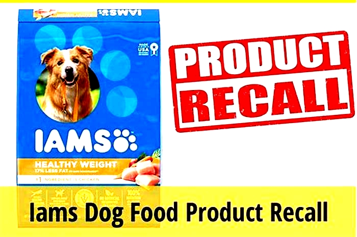 What is the IAMS controversy