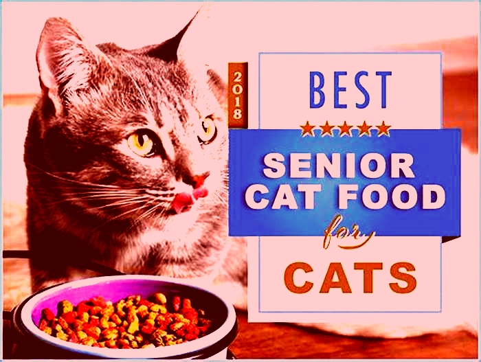 What is the best cat food for senior cats?