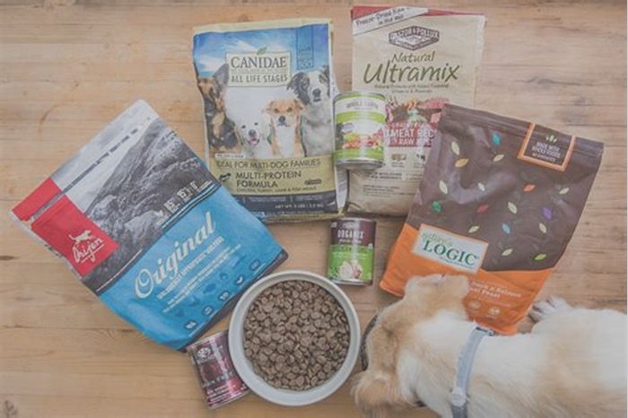 What is the best dog food in the world