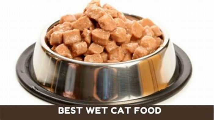 What is the best wet food for indoor cats?