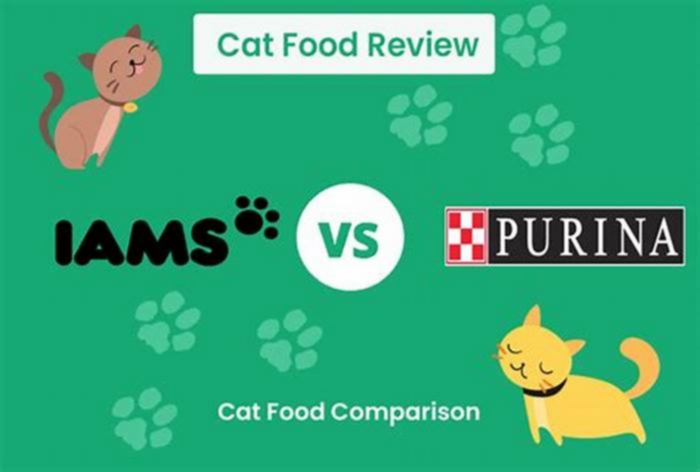 What is the difference between IAMS and Purina?