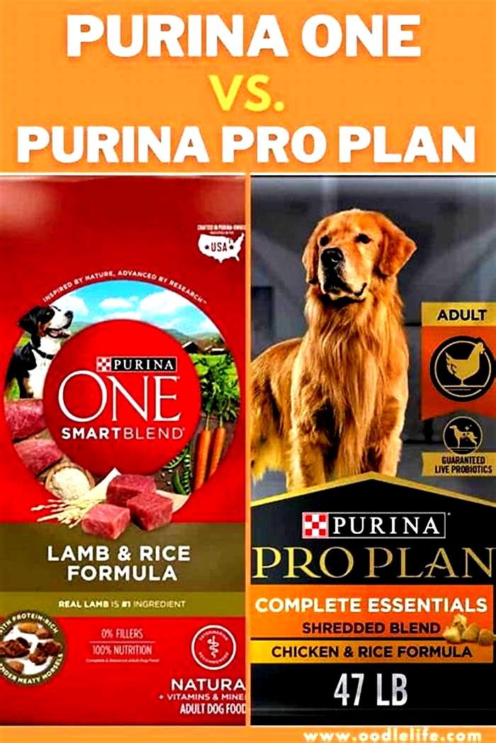 What is the difference between Purina and Purina Pro Plan?