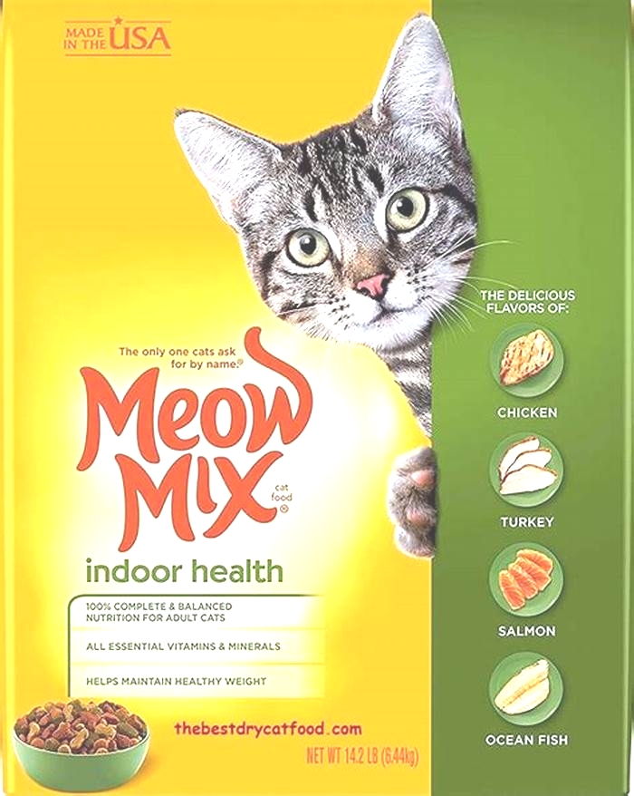 What is the healthiest cat food for an indoor cat?