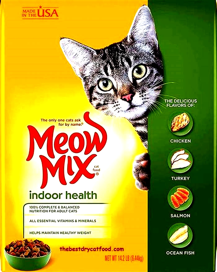 What is the healthiest cat food for indoor cats?