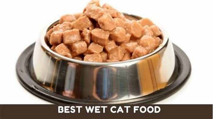 What is the healthiest wet cat food to buy