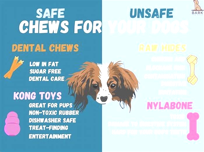 What is the safest chew bone for dogs