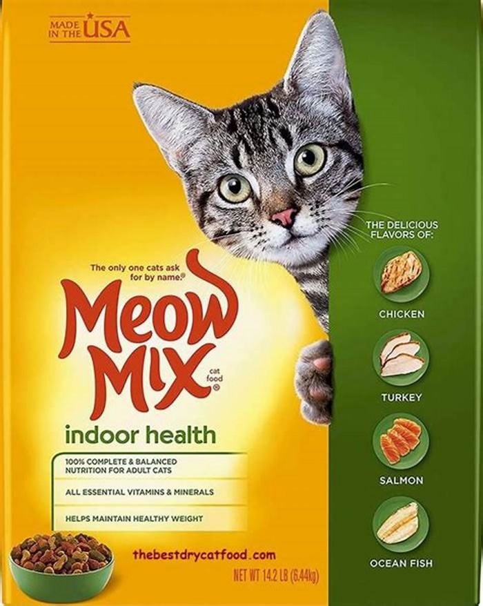 What's the best dry cat food for indoor cats?