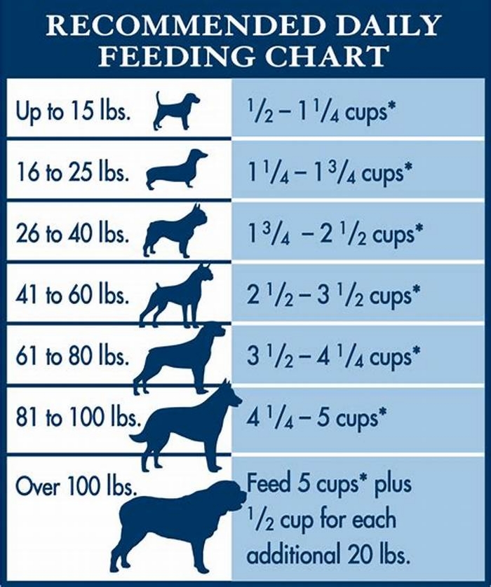 What's the difference between large breed and regular dog food?