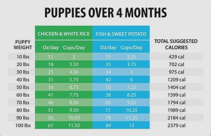 What's the difference between puppy and large breed puppy food?