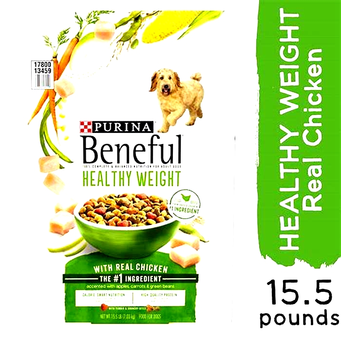 What s the safest and healthiest dog food