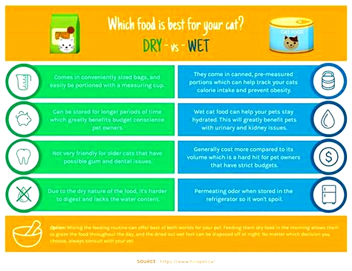 What should not be in wet cat food?