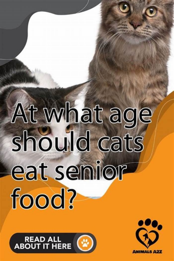 What should senior cats avoid in food