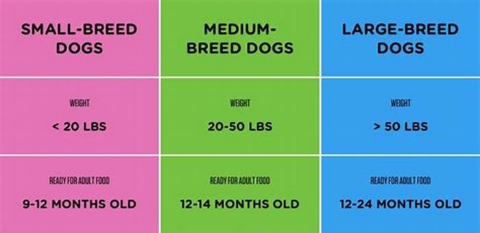 When to switch large breed puppy food