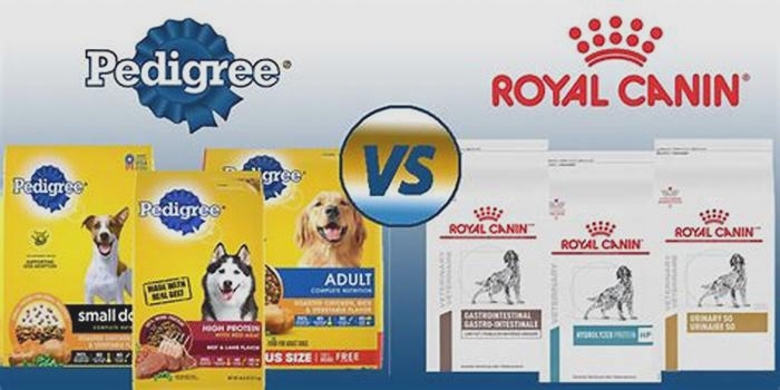 Which is best Royal Canin or pedigree?