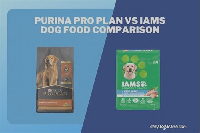 Which is better IAMS or Purina