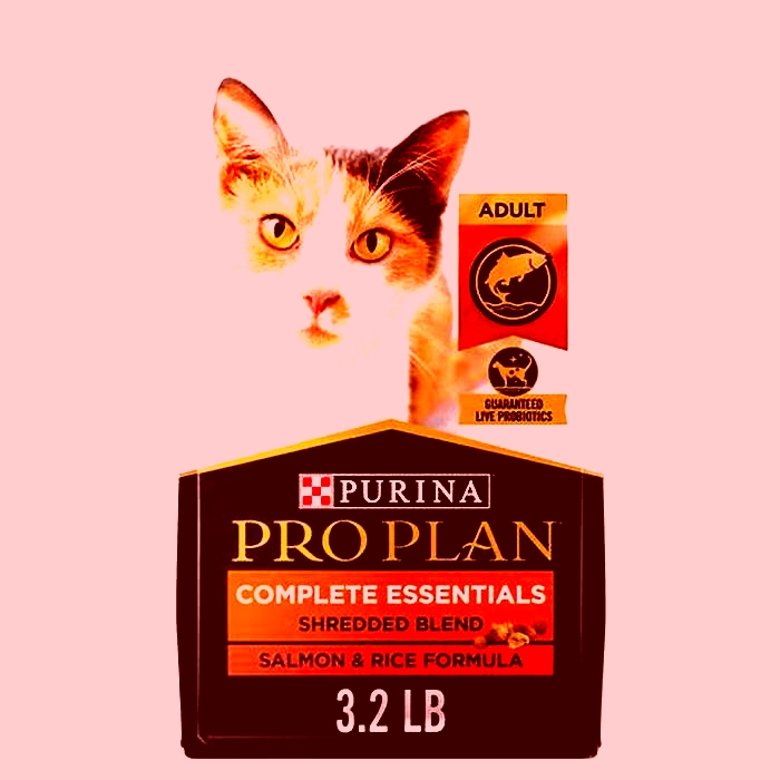 Which is better Purina One or Purina Pro Plan cat food?