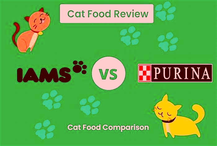 Which is better for cats, IAMS or Purina One?