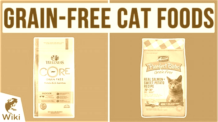 Which is better for cats, grain-free or grain?