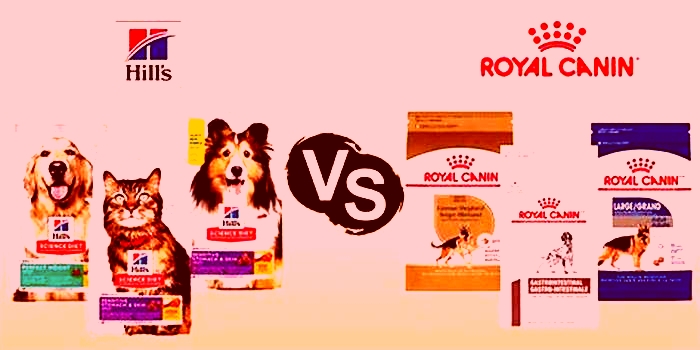 Which is more expensive, Hills or Royal Canin?