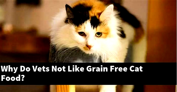 Why do vets not like grain free cat food