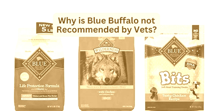 Why do vets not recommend blue buffalo