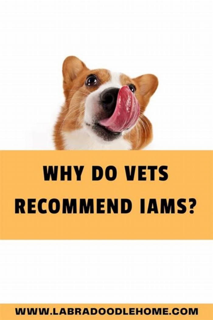 Why do vets recommend IAMS