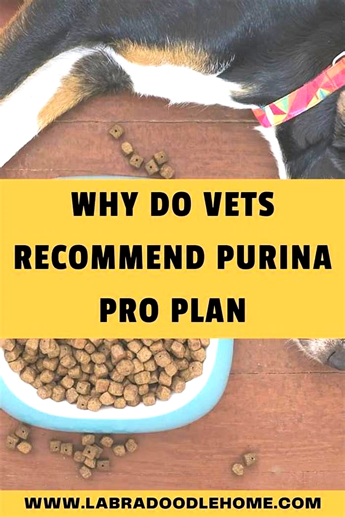 Why do vets recommend Purina Pro Plan