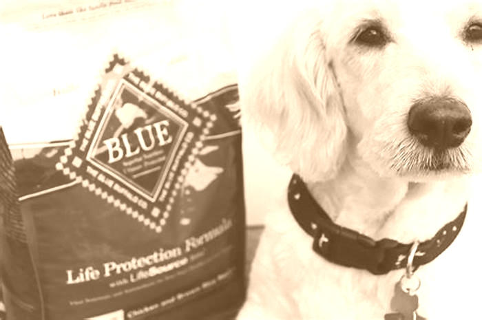 Why don t vets recommend Blue Buffalo