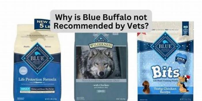 Why is Blue Buffalo not recommended by vets