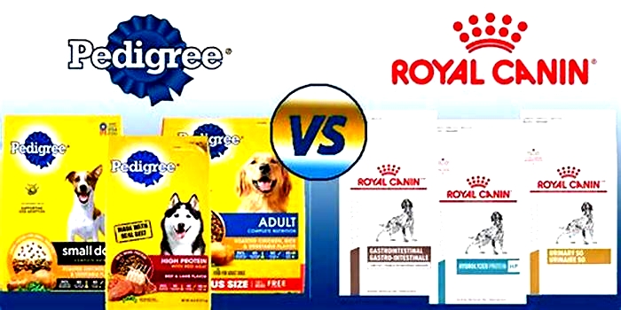 Why is Royal Canin better than Pedigree?