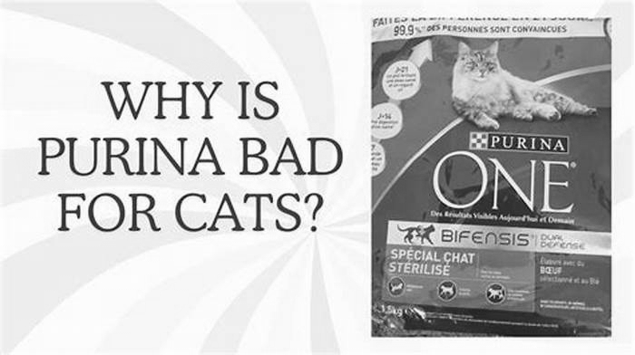 Why is purina bad for cats?