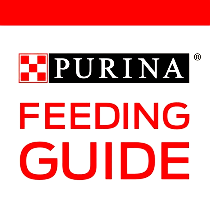 Why not to feed Purina?